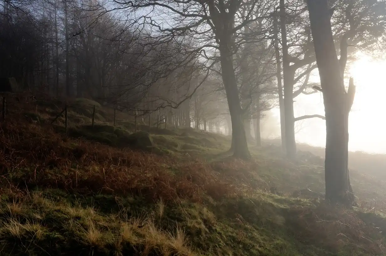 Stannage Edge early mist