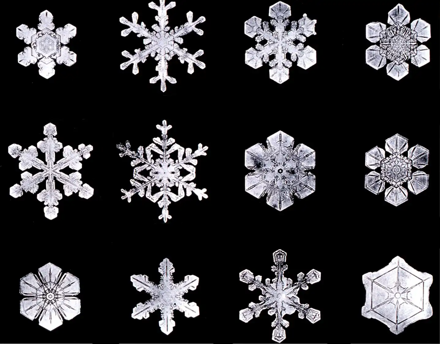 Snow Crystals