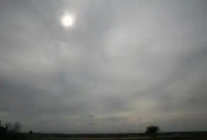 Nimbotratus cloud